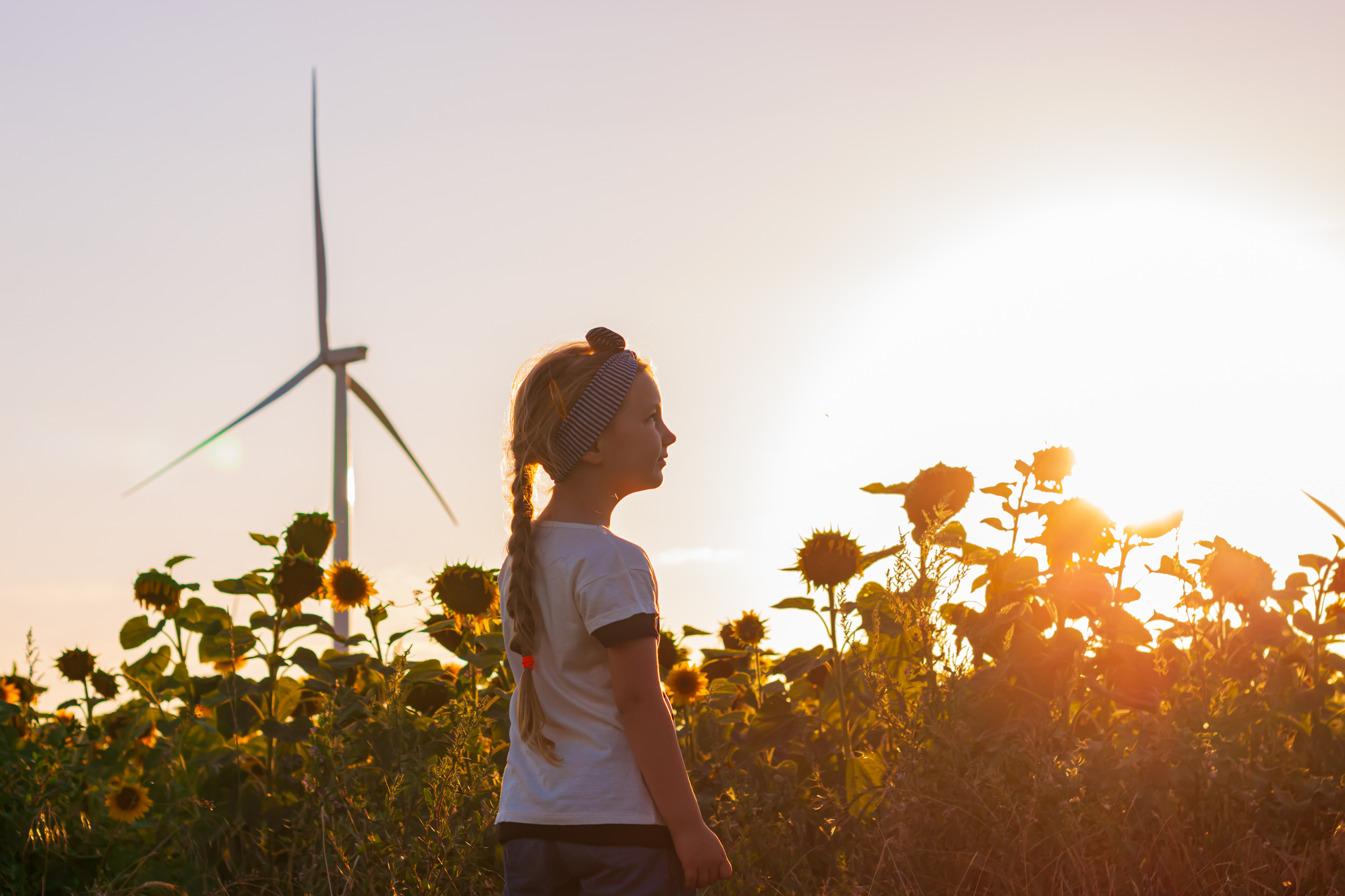 Youthful Energy & Fresh Perspectives image 1